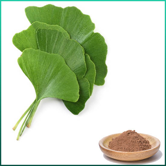 Ginkgo Biloba сығындысы